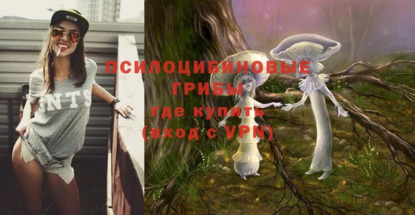 прущие грибы Алексеевка