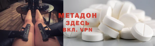 прущие грибы Алексеевка